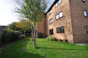 Photo 11- click for photo gallery